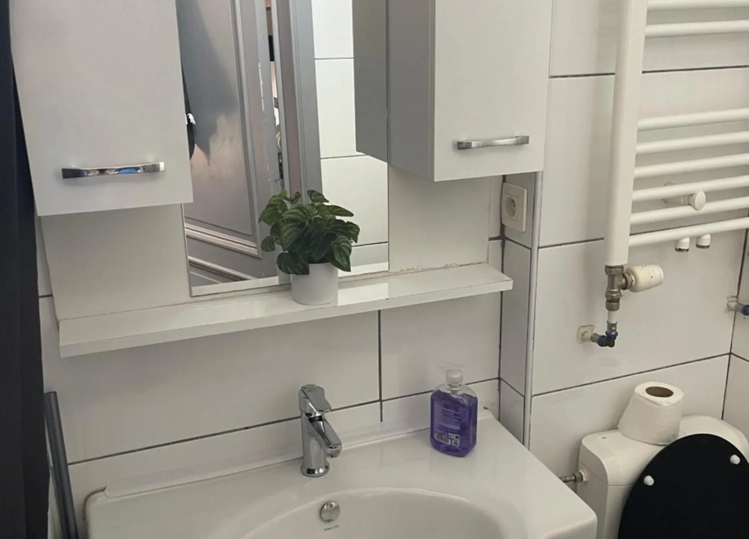 Big Private Apartment In The Heart Of Antwerpia