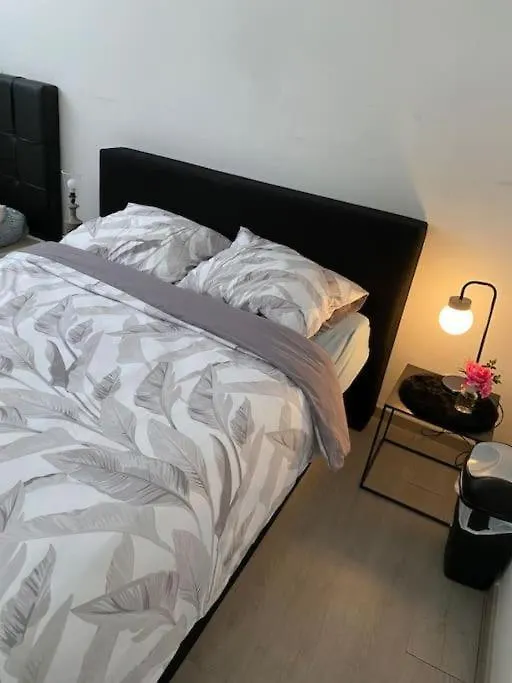 Big Private Apartment In The Heart Of Antwerpia